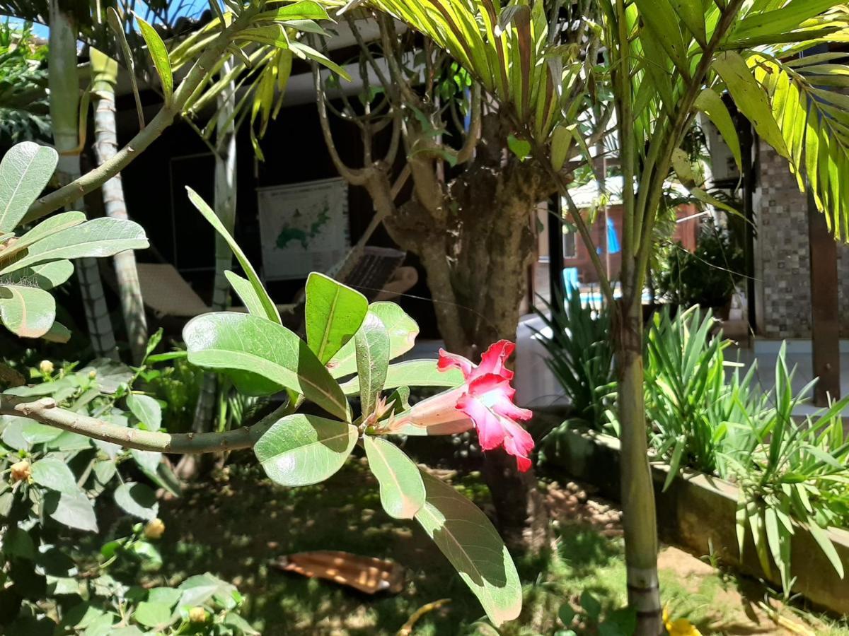Pousada Das Flores Φερνάντο ντε Νορόνια Εξωτερικό φωτογραφία